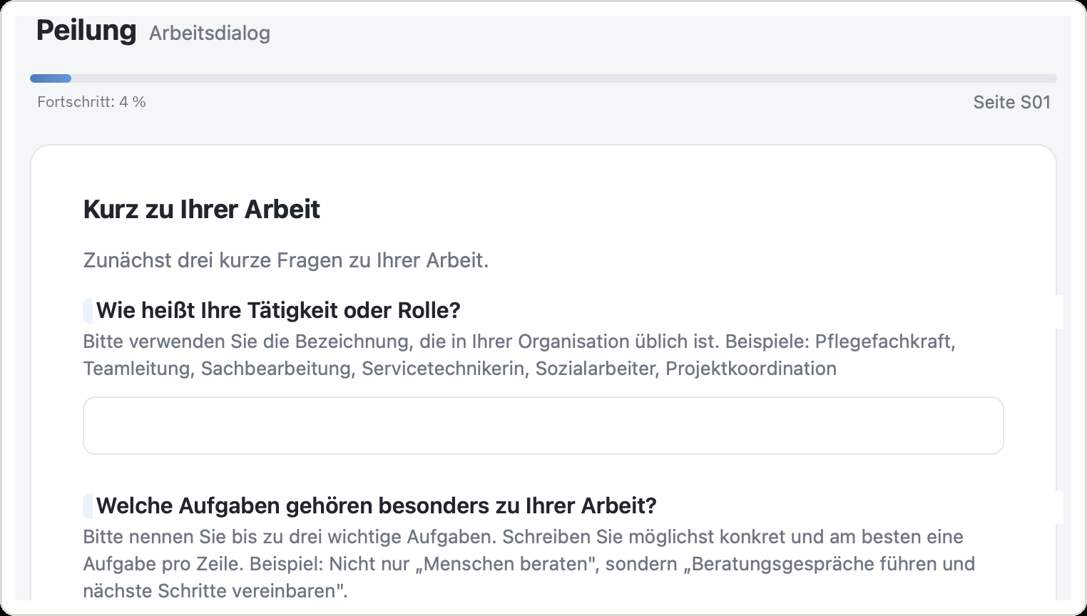 Ein Schritt aus dem digitalen Arbeitsdialog von PEILUNG: Fragen zur eigenen Tätigkeit und den wichtigsten Aufgaben, mit Texteingabefeldern.